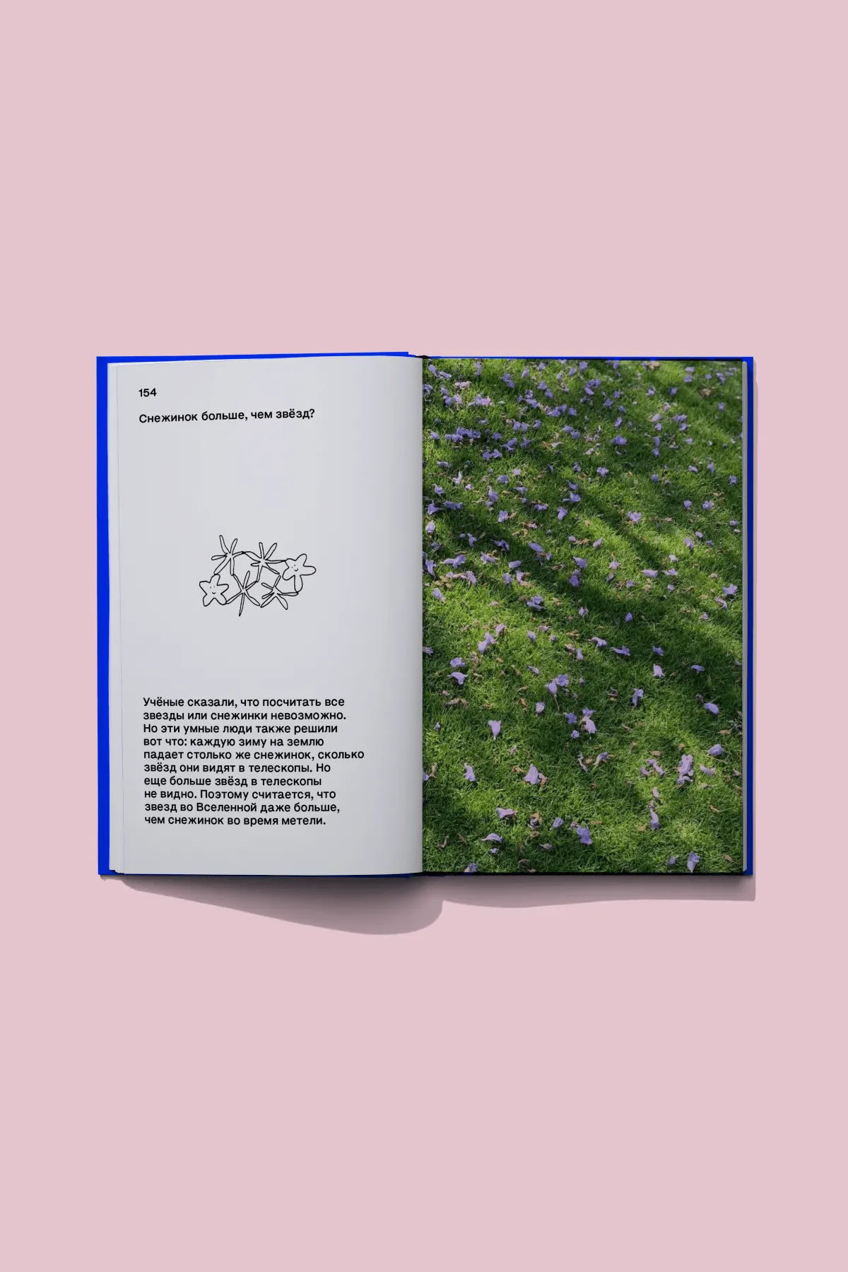 Книга вопросов 8
