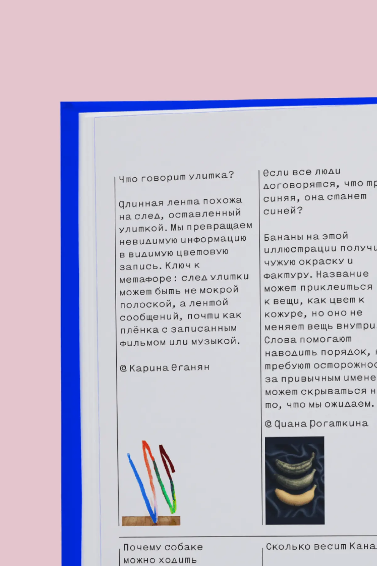 Книга вопросов 14