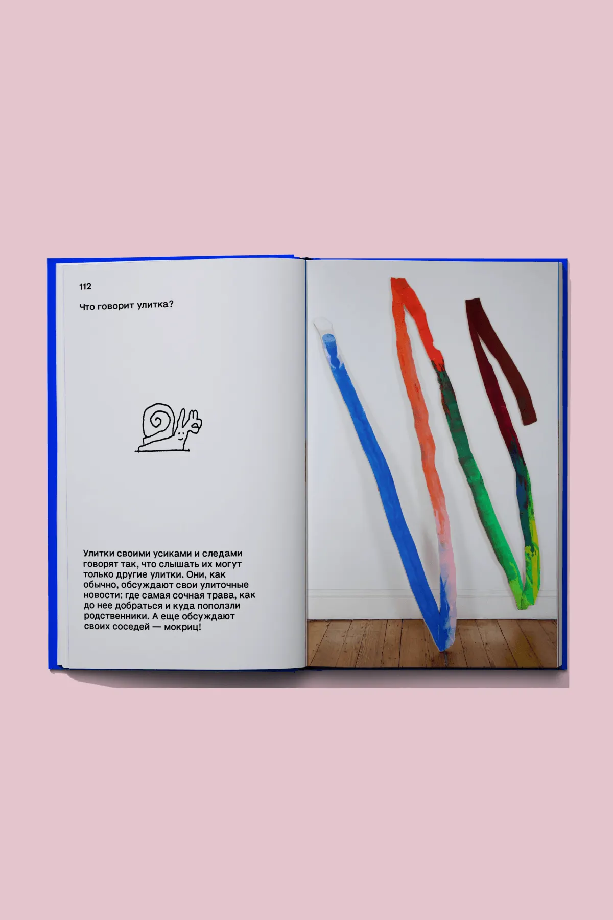 Книга вопросов 13