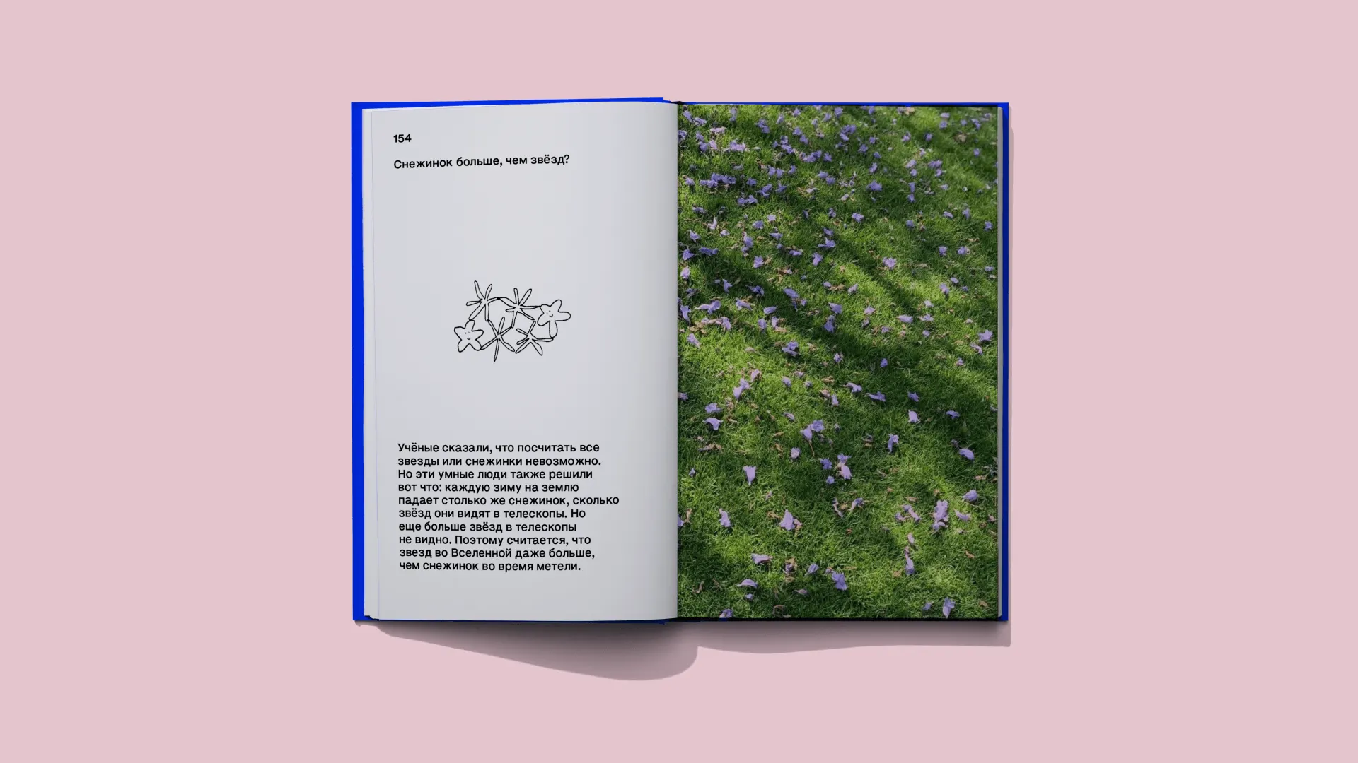 Книга вопросов 8